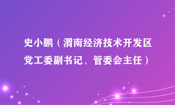 史小鹏（渭南经济技术开发区党工委副书记、管委会主任）