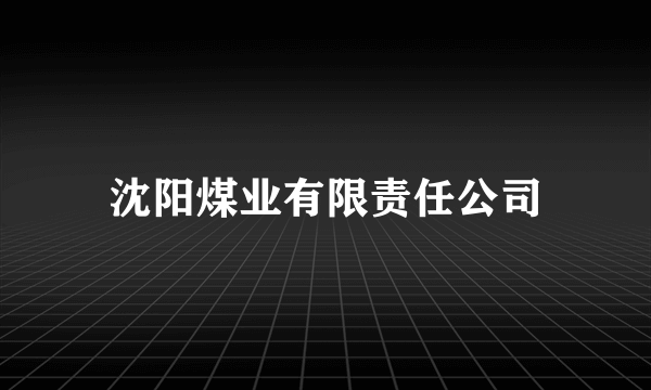 沈阳煤业有限责任公司