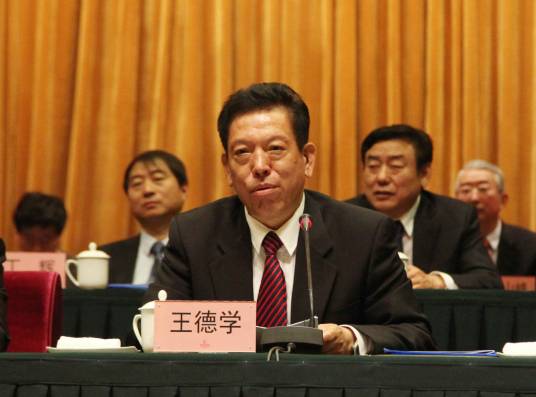 王德学（中国职业安全健康协会党委书记、理事长）