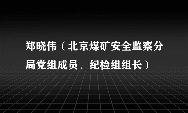 郑晓伟（北京煤矿安全监察分局党组成员、纪检组组长）