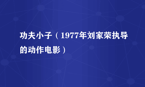 功夫小子（1977年刘家荣执导的动作电影）