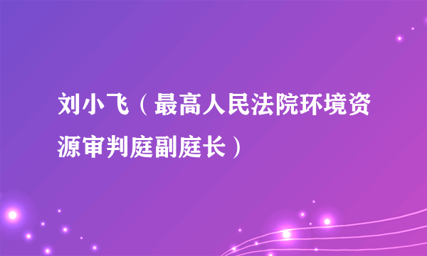 刘小飞（最高人民法院环境资源审判庭副庭长）