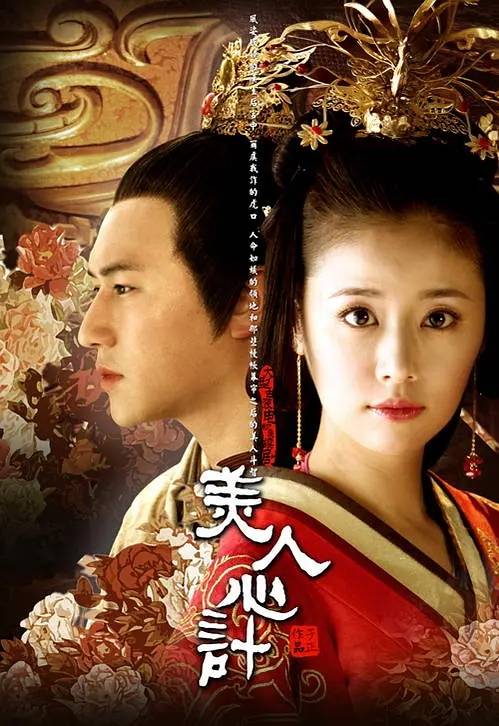 美人心计（2010年由林心如、王丽坤等主演的古装剧）