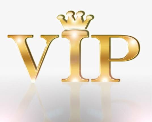 VIP（贵宾(very important person)）