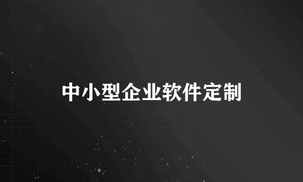 中小型企业软件定制