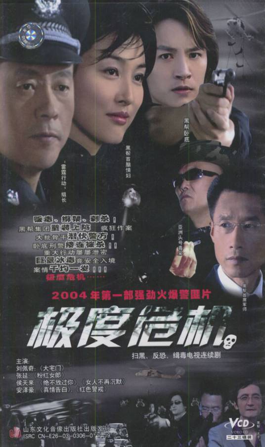 极度危机（2004年刘佩琦、张延主演的警匪刑侦剧）