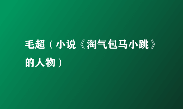 毛超（小说《淘气包马小跳》的人物）