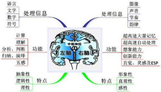 右脑记忆器