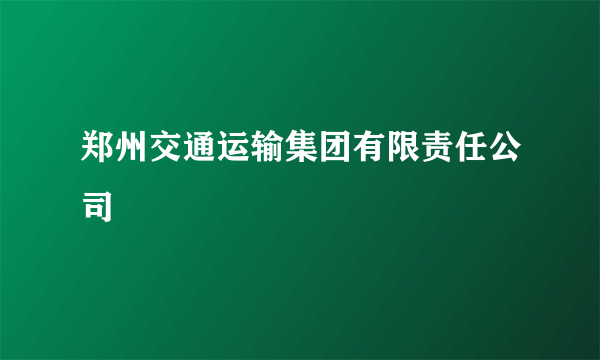 郑州交通运输集团有限责任公司