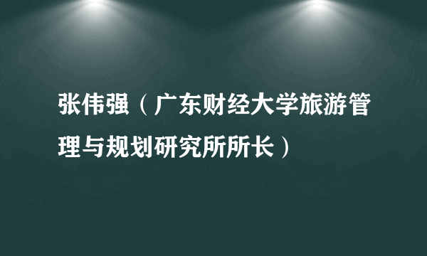 张伟强（广东财经大学旅游管理与规划研究所所长）