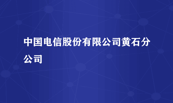 中国电信股份有限公司黄石分公司