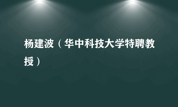 杨建波（华中科技大学特聘教授）