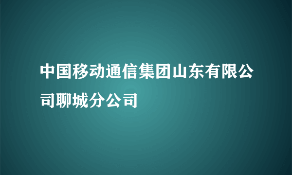 中国移动通信集团山东有限公司聊城分公司