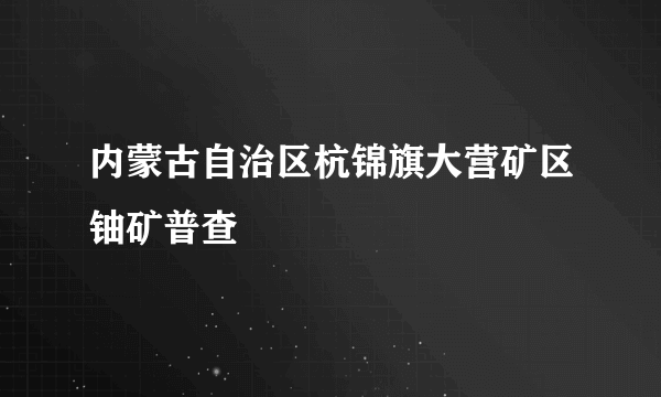 内蒙古自治区杭锦旗大营矿区铀矿普查