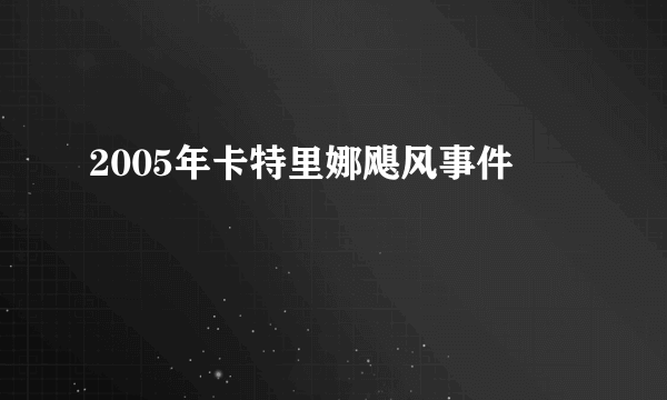 2005年卡特里娜飓风事件