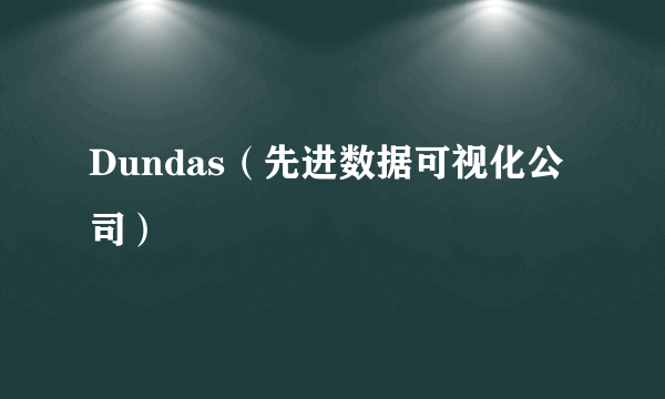 Dundas（先进数据可视化公司）