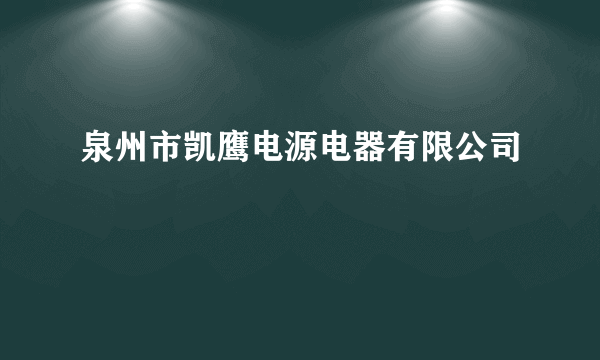 泉州市凯鹰电源电器有限公司