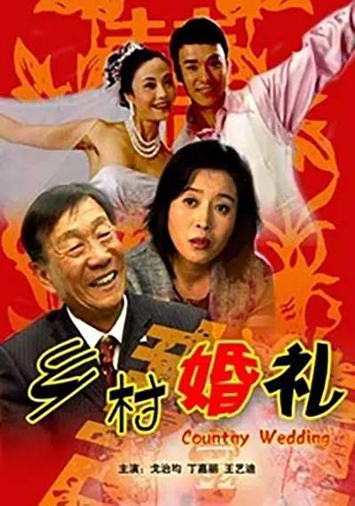 乡村婚礼（2008年杨立新执导的爱情电影）