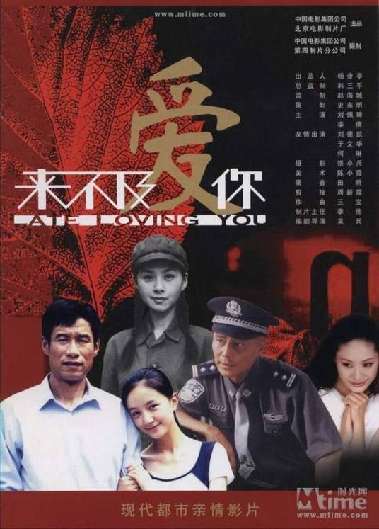 来不及爱你（2003年吴兵执导的电影）