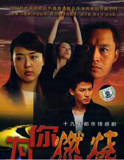 为你燃烧（2007年蒋家骏执导的电视剧）