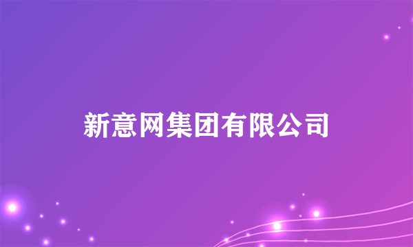 新意网集团有限公司