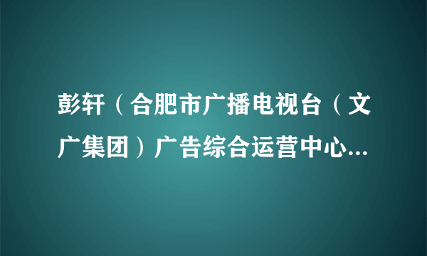 彭轩（合肥市广播电视台（文广集团）广告综合运营中心原常务副主任）