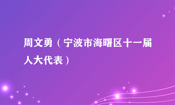 周文勇（宁波市海曙区十一届人大代表）