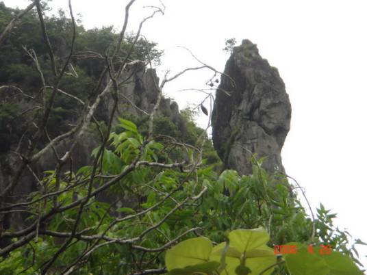 佛子山（福建政和县下辖地区）