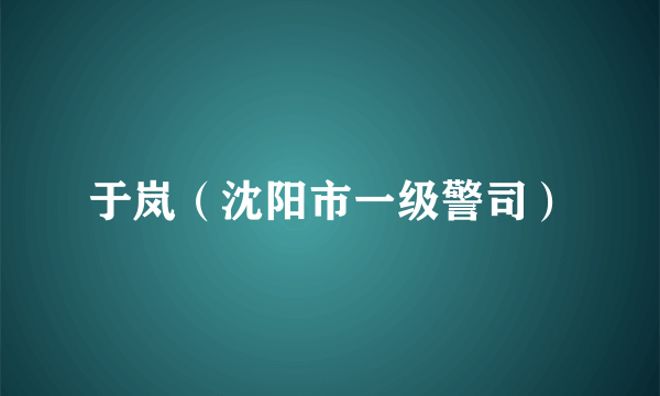 于岚（沈阳市一级警司）