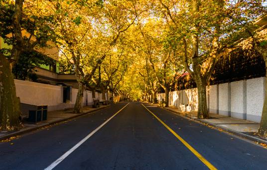 泰康路（中国上海市黄浦区泰康路）