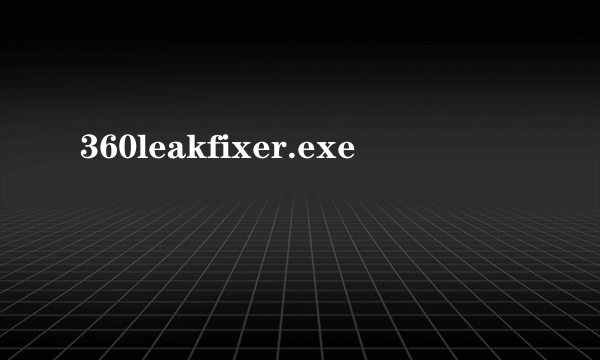 360leakfixer.exe