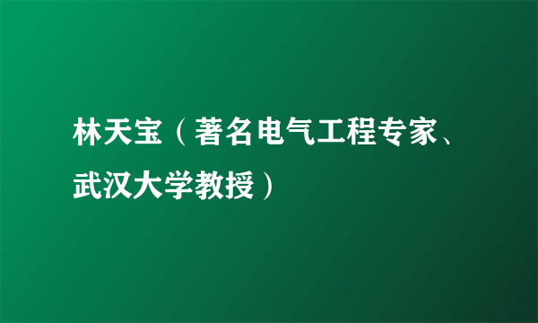 林天宝（著名电气工程专家、武汉大学教授）