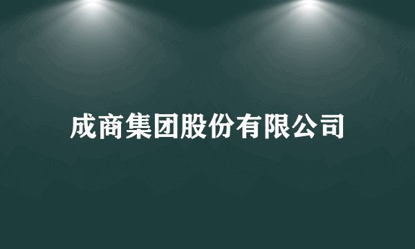 成商集团股份有限公司