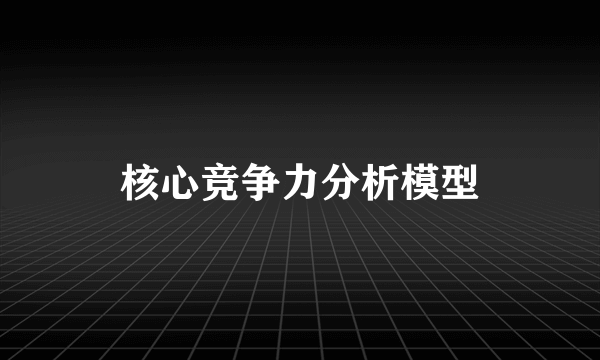 核心竞争力分析模型