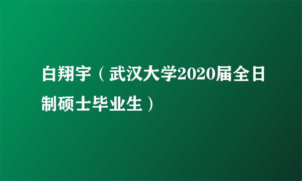 白翔宇（武汉大学2020届全日制硕士毕业生）