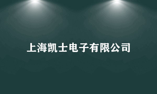 上海凯士电子有限公司