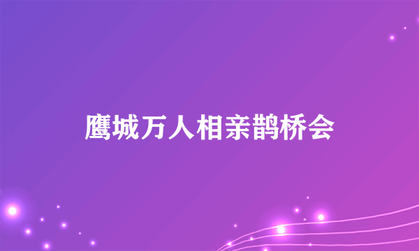 鹰城万人相亲鹊桥会