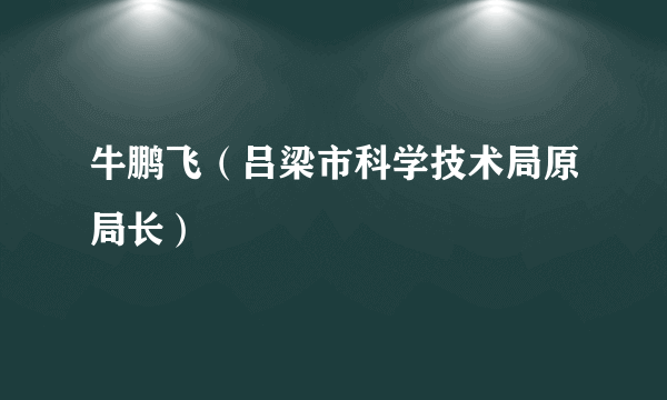 牛鹏飞（吕梁市科学技术局原局长）