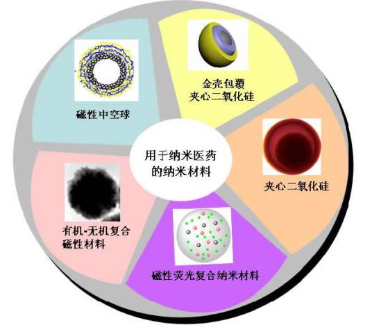 生物技术及应用