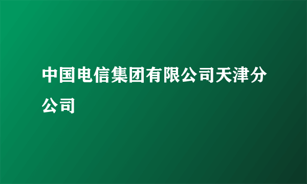 中国电信集团有限公司天津分公司