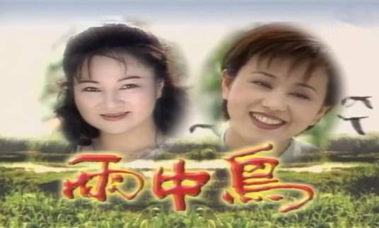 雨中鸟（1999年白冰冰主演的剧集）