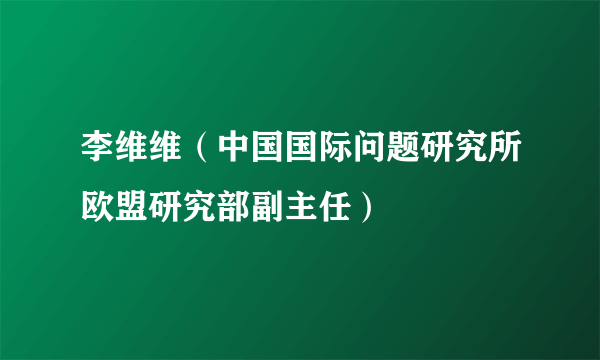 李维维（中国国际问题研究所欧盟研究部副主任）