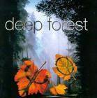 Deep forest（比利时乐队）