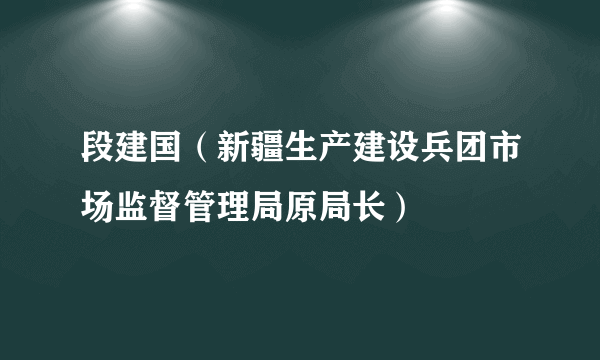 段建国（新疆生产建设兵团市场监督管理局原局长）