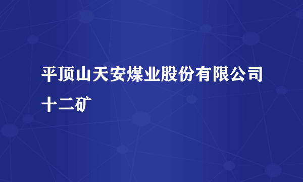 平顶山天安煤业股份有限公司十二矿