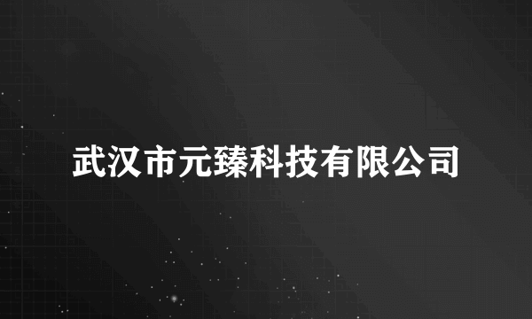 武汉市元臻科技有限公司