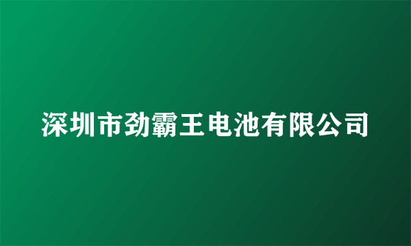 深圳市劲霸王电池有限公司