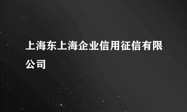 上海东上海企业信用征信有限公司