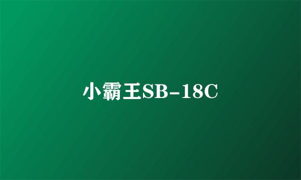 小霸王SB-18C