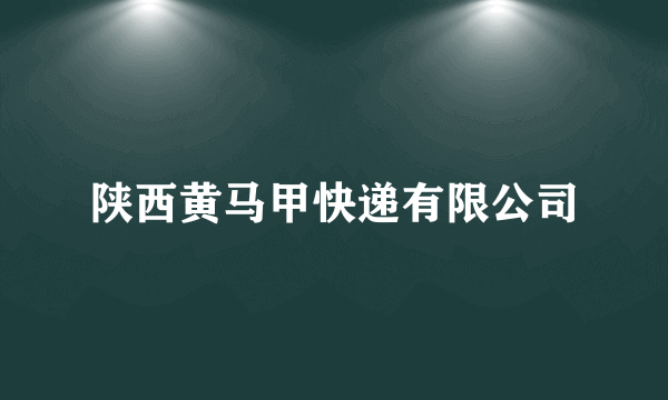 陕西黄马甲快递有限公司